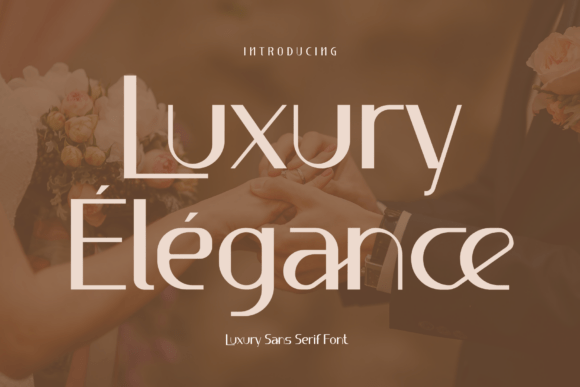 Luxury Élégance Font for Small Business Branding